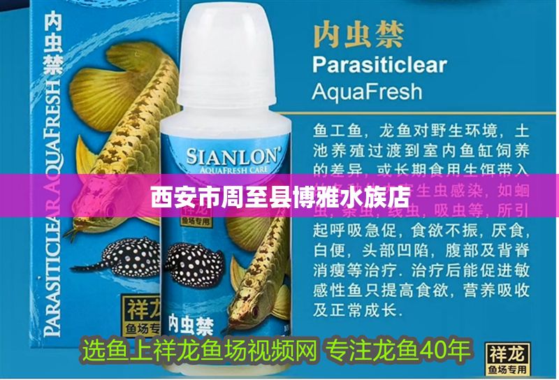 西安市<strong><mark>周至</mark></strong>縣博雅水族店