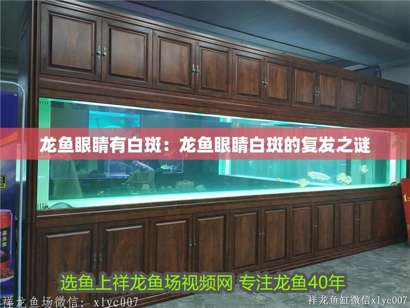 魚缸用增氧泵價格是多少:魚缸增氧機-xtrac增氧機-xtrac增氧機 龍魚眼睛有白斑:龍魚眼睛白斑的復發之謎 水族問答 龍魚眼睛有白斑:龍魚眼睛白斑的復發之謎 龍魚眼睛有白斑:龍魚眼睛白斑的復發之謎 水族問答