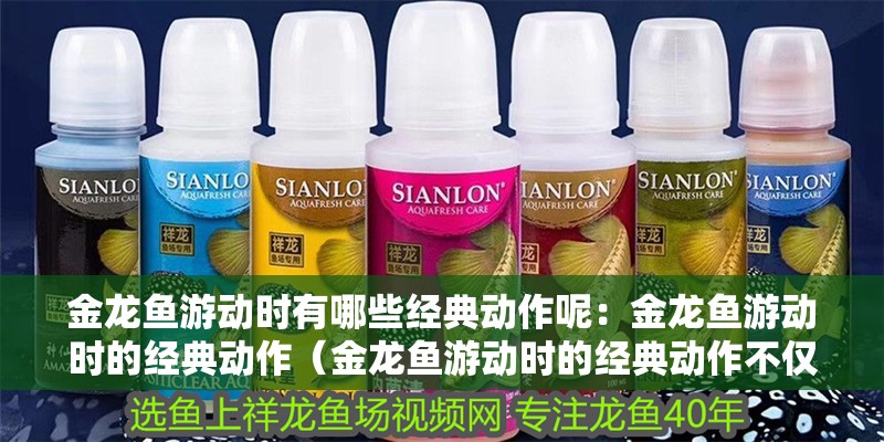 金龍魚游動時有哪些經典動作呢：金龍魚游動時的經典動作（金龍魚游動時的經典動作不僅有助于金龍魚繁衍后代）