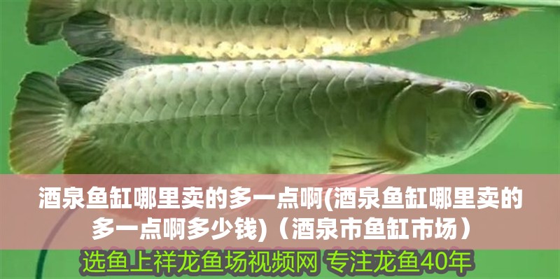 龍魚怕什么 酒泉魚缸哪里賣的多一點啊(酒泉魚缸哪里賣的多一點啊多少錢)(酒泉市魚缸市場) 觀賞魚百科 酒泉魚缸哪里賣的多一點啊(酒泉魚缸哪里賣的多一點啊多少錢)(酒泉市魚缸市場) 酒泉魚缸哪里賣的多一點啊(酒泉魚缸哪里賣的多一點啊多少錢)(酒泉市魚缸市場) 觀賞魚百科