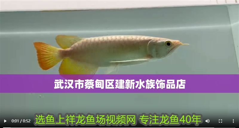 武漢市蔡甸區建新水族飾品店