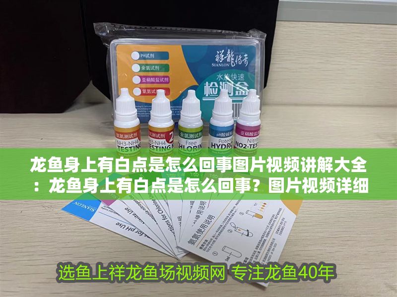 龍魚身上有白點是怎么回事圖片視頻講解大全：龍魚身上有白點是怎么回事？圖片視頻詳細講解