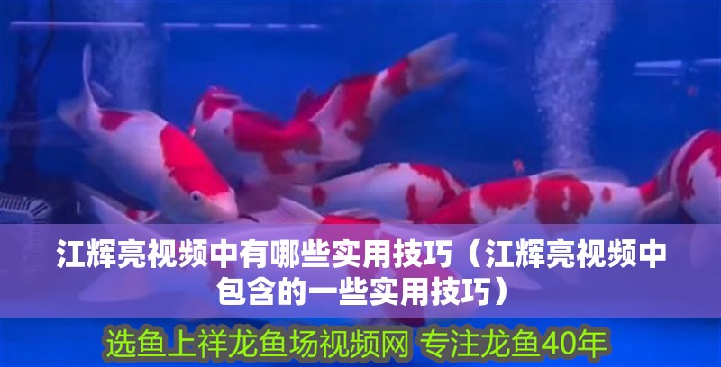 江輝亮視頻中有哪些實用技巧（江輝亮視頻中包含的一些實用技巧）