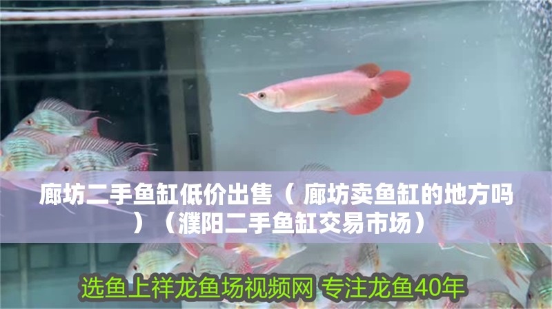 廊坊二手魚缸低價出售（ 廊坊賣魚缸的地方嗎）（濮陽二手魚缸交易市場）