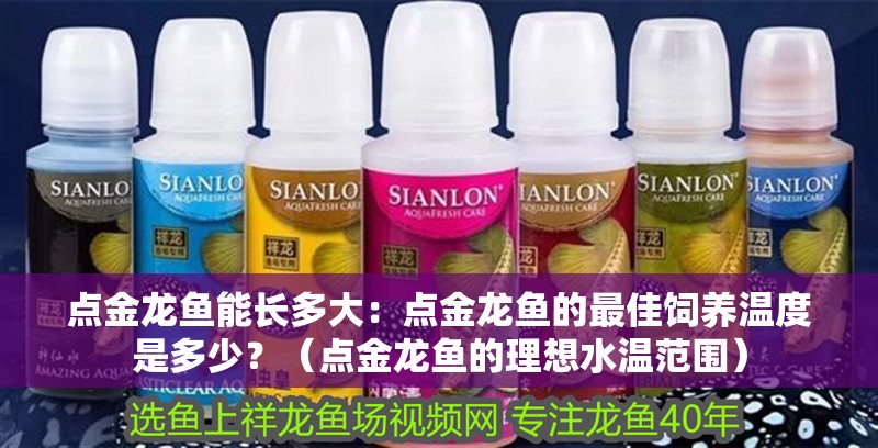 魚缸過濾器選購指南:自制魚缸過濾器魚缸上置過濾器對(duì)于養(yǎng)魚愛好者的必備知識(shí) 點(diǎn)金龍魚能長多大:點(diǎn)金龍魚的最佳飼養(yǎng)溫度是多少?(點(diǎn)金龍魚的理想水溫范圍) 水族問答 點(diǎn)金龍魚能長多大:點(diǎn)金龍魚的最佳飼養(yǎng)溫度是多少?(點(diǎn)金龍魚的理想水溫范圍) 點(diǎn)金龍魚能長多大:點(diǎn)金龍魚的最佳飼養(yǎng)溫度是多少?(點(diǎn)金龍魚的理想水溫范圍) 水族問答