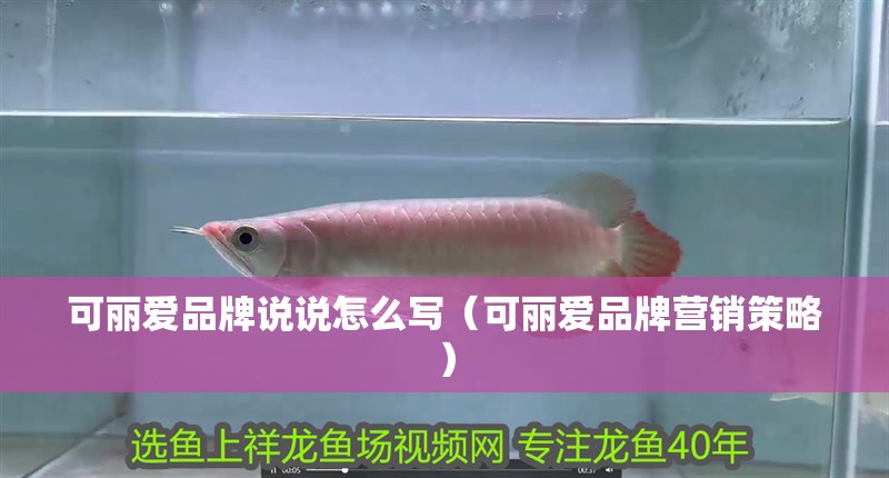 可麗愛品牌說說怎么寫（可麗愛品牌營銷策略）