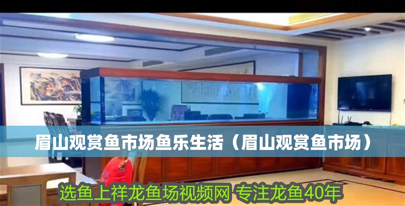 眉山觀賞魚(yú)市場(chǎng)魚(yú)樂(lè)生活（眉山觀賞魚(yú)市場(chǎng)）