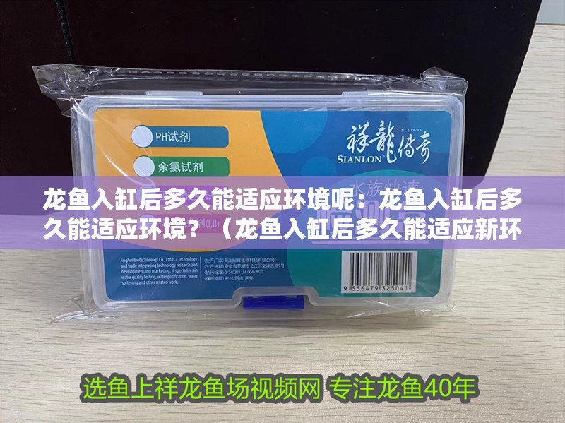 龍魚入缸后多久能適應環境呢：龍魚入缸后多久能適應環境？（龍魚入缸后多久能適應新環境）
