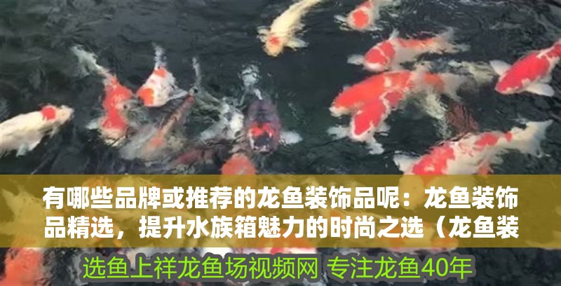 有哪些品牌或推薦的龍魚裝飾品呢：龍魚裝飾品精選，提升水族箱魅力的時尚之選（龍魚裝飾品牌介紹）