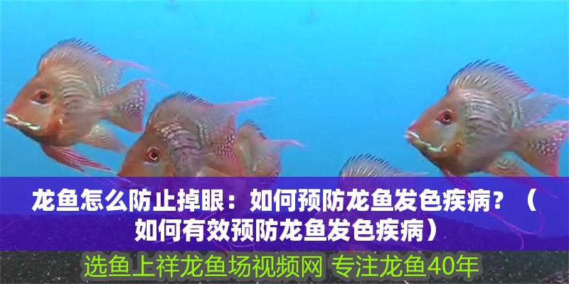 龍魚怎么防止掉眼：如何預防龍魚發色疾病？（如何有效預防龍魚發色疾病）