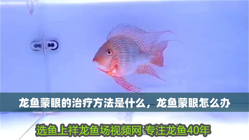 龍魚蒙眼的治療方法是什么，龍魚蒙眼怎么辦