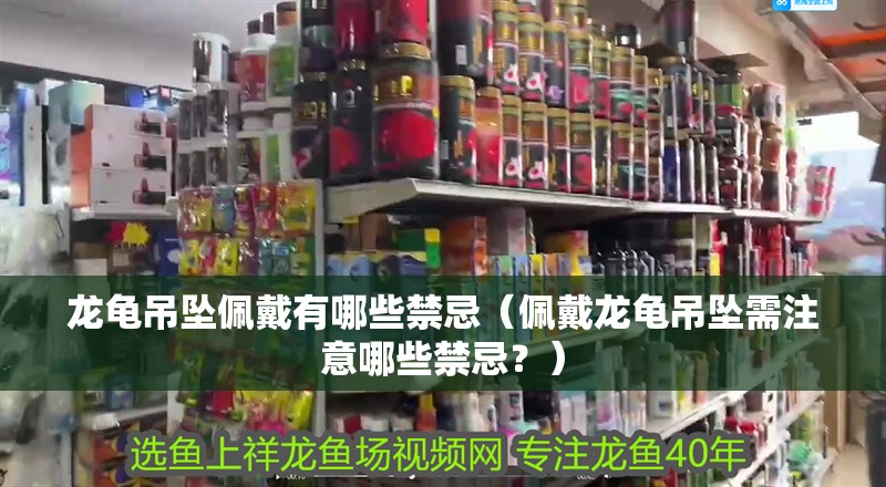 龍龜吊墜佩戴有哪些禁忌（佩戴龍龜吊墜需注意哪些禁忌？）