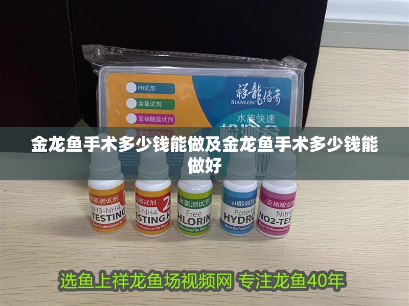金龍魚手術多少錢能做及金龍魚手術多少錢能做好 金龍魚手術多少錢能做及金龍魚手術多少錢能做好 觀賞魚百科