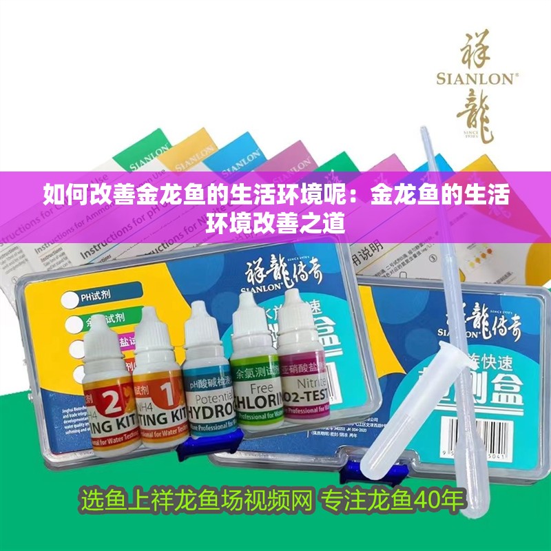 如何改善金龍魚的生活環(huán)境呢：金龍魚的生活環(huán)境改善之道 如何改善金龍魚的生活環(huán)境呢：金龍魚的生活環(huán)境改善之道 水族問答