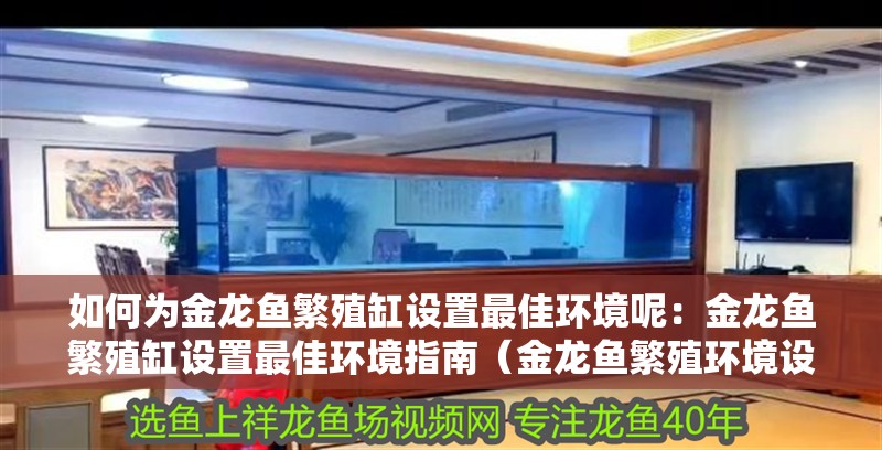 如何為金龍魚繁殖缸設置最佳環境呢：金龍魚繁殖缸設置最佳環境指南（金龍魚繁殖環境設置） 如何為金龍魚繁殖缸設置最佳環境呢：金龍魚繁殖缸設置最佳環境指南（金龍魚繁殖環境設置） 水族問答
