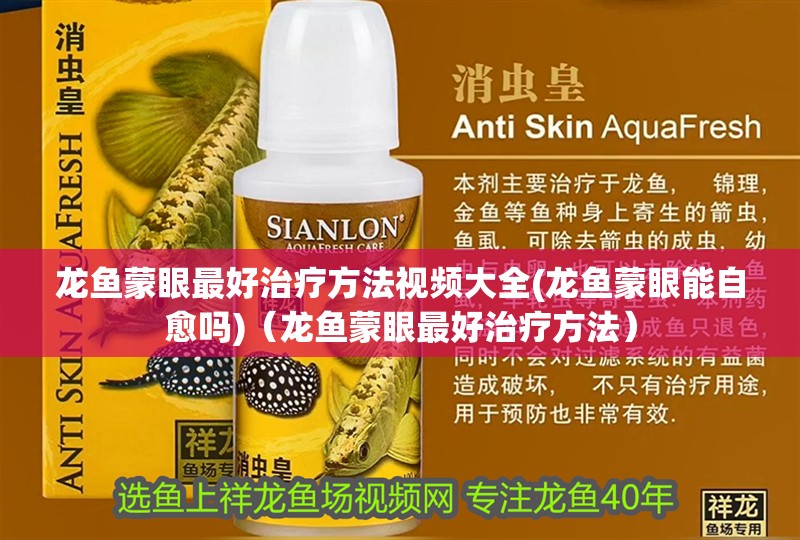 龍魚蒙眼最好治療方法視頻大全(龍魚蒙眼能自愈嗎)（龍魚蒙眼最好治療方法）