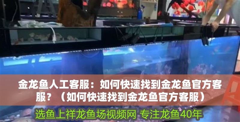 金龍魚(yú)人工客服：如何快速找到金龍魚(yú)官方客服？（如何快速找到金龍魚(yú)官方客服）