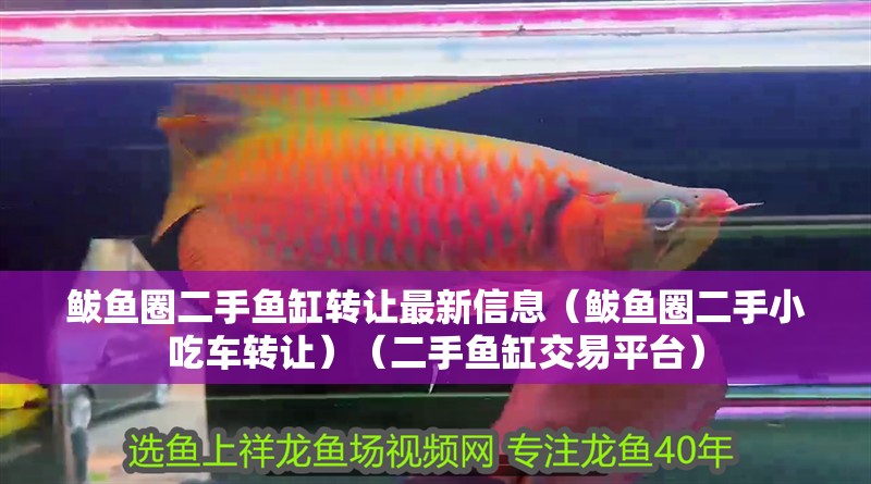 鲅魚圈二手魚缸轉讓最新信息（鲅魚圈二手小吃車轉讓）（二手魚缸交易平臺）