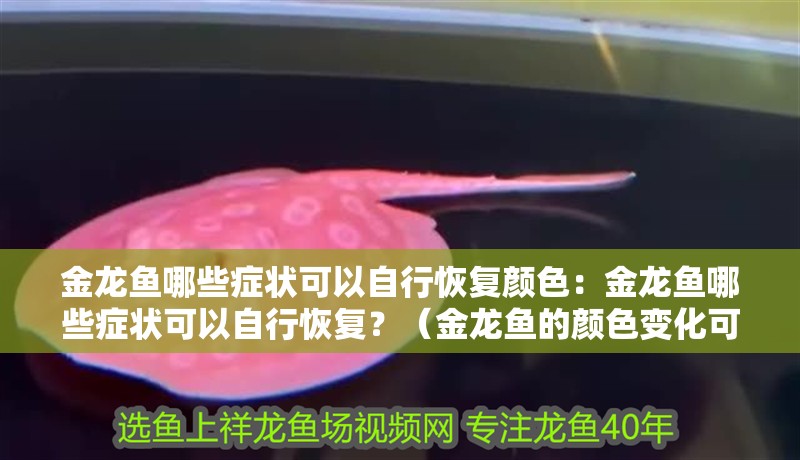 金龍魚哪些癥狀可以自行恢復顏色：金龍魚哪些癥狀可以自行恢復？（金龍魚的顏色變化可能會影響金龍魚的健康問題，金龍魚的健康問題）