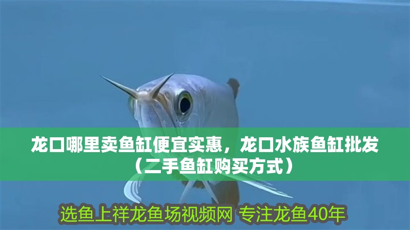 龍口哪里賣魚缸便宜實惠，龍口水族魚缸批發（二手魚缸購買方式） 龍口哪里賣魚缸便宜實惠，龍口水族魚缸批發（二手魚缸購買方式） 觀賞魚百科