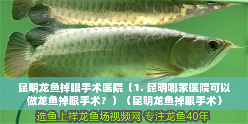 昆明龍魚掉眼手術醫院（1. 昆明哪家醫院可以做龍魚掉眼手術？）（昆明龍魚掉眼手術） 昆明龍魚掉眼手術醫院（1. 昆明哪家醫院可以做龍魚掉眼手術？）（昆明龍魚掉眼手術） 觀賞魚百科