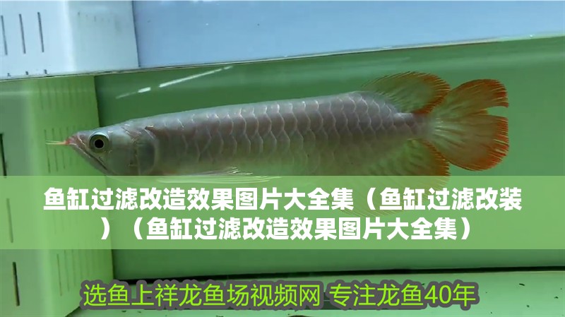 魚缸過濾改造效果圖片大全集（魚缸過濾改裝）（魚缸過濾改造效果圖片大全集）