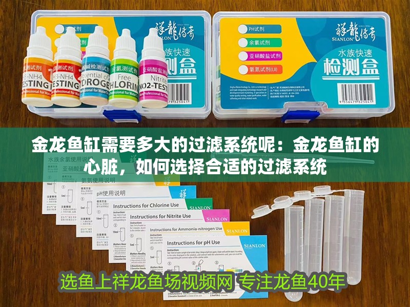 金龍魚缸需要多大的過濾系統呢：金龍魚缸的心臟，如何選擇合適的過濾系統
