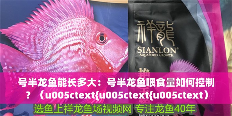 號半龍魚能長多大：號半龍魚喂食量如何控制？（u005ctext{u005ctext{u005ctext）