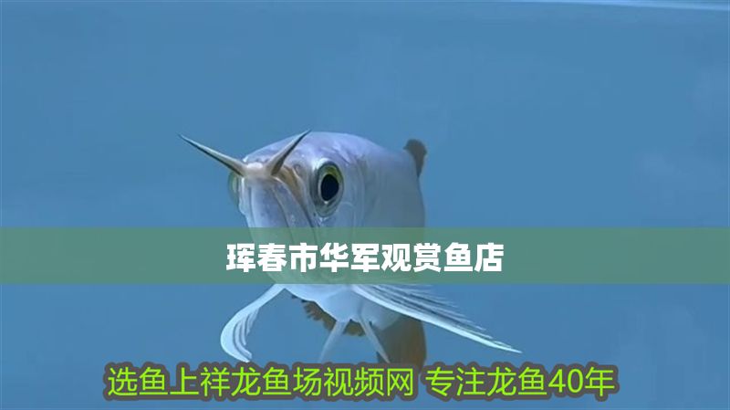 琿春市華軍觀賞魚店 全國水族館企業名錄 第1張 琿春市華軍觀賞魚店 琿春市華軍觀賞魚店 全國水族館企業名錄 第1張