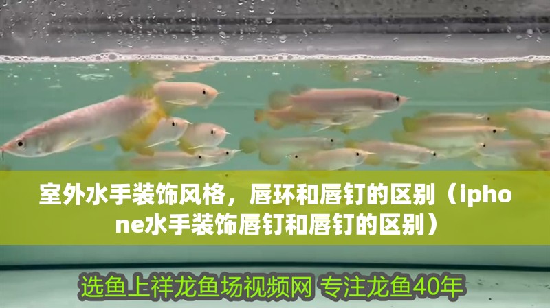 室外水手裝飾風格，唇環和唇釘的區別（iphone水手裝飾唇釘和唇釘的區別）