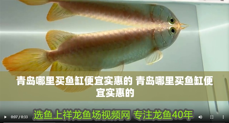 青島哪里買魚缸便宜實(shí)惠的 青島哪里買魚缸便宜實(shí)惠的