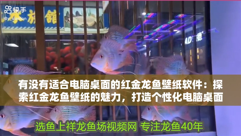 我的虎魚真菌感染了要怎么處理 有沒有適合電腦桌面的紅金龍魚壁紙軟件:探索紅金龍魚壁紙的魅力,打造個性化電腦桌面(紅金龍魚壁紙是否適合作為電腦桌面的裝飾) 水族問答 有沒有適合電腦桌面的紅金龍魚壁紙軟件:探索紅金龍魚壁紙的魅力,打造個性化電腦桌面(紅金龍魚壁紙是否適合作為電腦桌面的裝飾) 有沒有適合電腦桌面的紅金龍魚壁紙軟件:探索紅金龍魚壁紙的魅力,打造個性化電腦桌面(紅金龍魚壁紙是否適合作為電腦桌面的裝飾) 水族問答