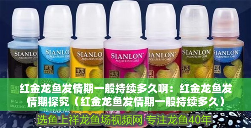 紅金龍魚發(fā)情期一般持續(xù)多久啊：紅金龍魚發(fā)情期探究（紅金龍魚發(fā)情期一般持續(xù)多久） 紅金龍魚發(fā)情期一般持續(xù)多久啊：紅金龍魚發(fā)情期探究（紅金龍魚發(fā)情期一般持續(xù)多久） 水族問答
