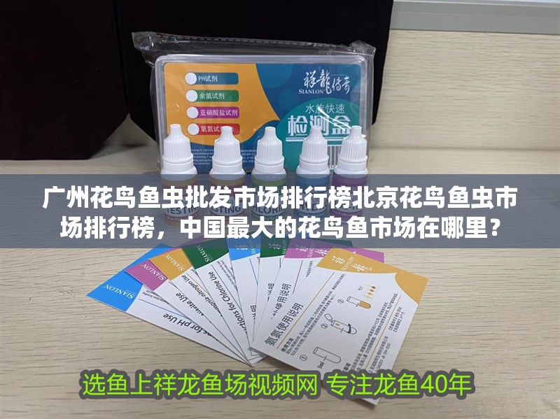 龍魚怕什么 廣州花鳥魚蟲批發(fā)市場(chǎng)排行榜北京花鳥魚蟲市場(chǎng)排行榜,中國(guó)最大的花鳥魚市場(chǎng)在哪里? 觀賞魚百科 廣州花鳥魚蟲批發(fā)市場(chǎng)排行榜北京花鳥魚蟲市場(chǎng)排行榜,中國(guó)最大的花鳥魚市場(chǎng)在哪里? 廣州花鳥魚蟲批發(fā)市場(chǎng)排行榜北京花鳥魚蟲市場(chǎng)排行榜,中國(guó)最大的花鳥魚市場(chǎng)在哪里? 觀賞魚百科