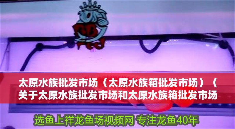 太原水族批發市場（太原水族箱批發市場）（關于太原水族批發市場和太原水族箱批發市場的介紹） 太原水族批發市場（太原水族箱批發市場）（關于太原水族批發市場和太原水族箱批發市場的介紹） 觀賞魚百科