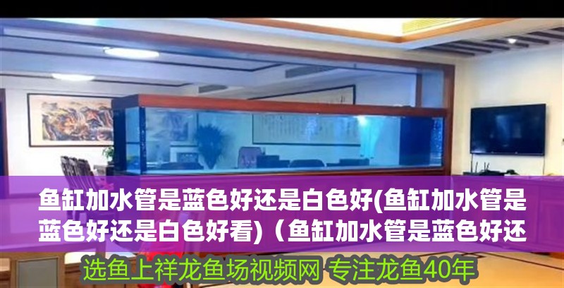 魚(yú)缸加水管是藍(lán)色好還是白色好(魚(yú)缸加水管是藍(lán)色好還是白色好看)（魚(yú)缸加水管是藍(lán)色好還是白色好）