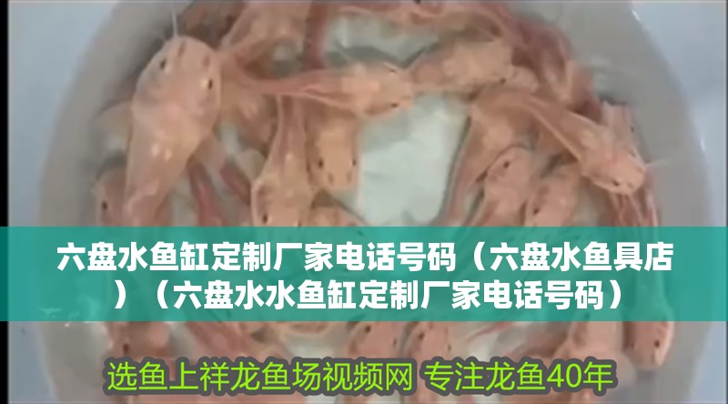六盤水魚缸定制廠家電話號碼（六盤水魚具店）（六盤水水魚缸定制廠家電話號碼）