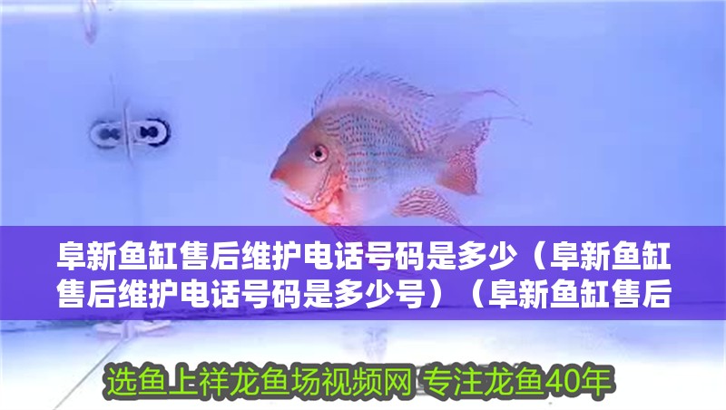 阜新魚缸售后維護電話號碼是多少（阜新魚缸售后維護電話號碼是多少號）（阜新魚缸售后維護電話號碼是多少）