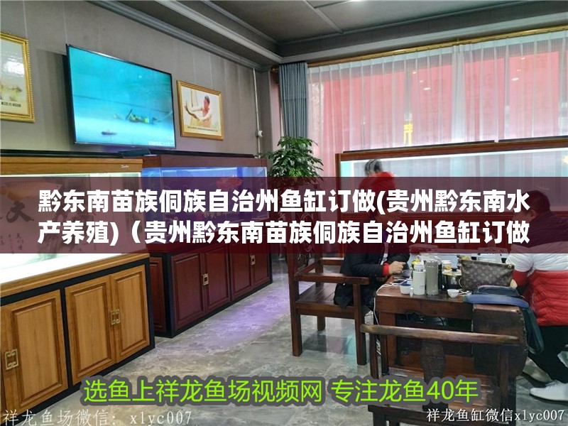 龍魚干蝦有營養嗎 黔東南苗族侗族自治州魚缸訂做(貴州黔東南水產養殖)(貴州黔東南苗族侗族自治州魚缸訂做) 觀賞魚百科 黔東南苗族侗族自治州魚缸訂做(貴州黔東南水產養殖)(貴州黔東南苗族侗族自治州魚缸訂做) 黔東南苗族侗族自治州魚缸訂做(貴州黔東南水產養殖)(貴州黔東南苗族侗族自治州魚缸訂做) 觀賞魚百科