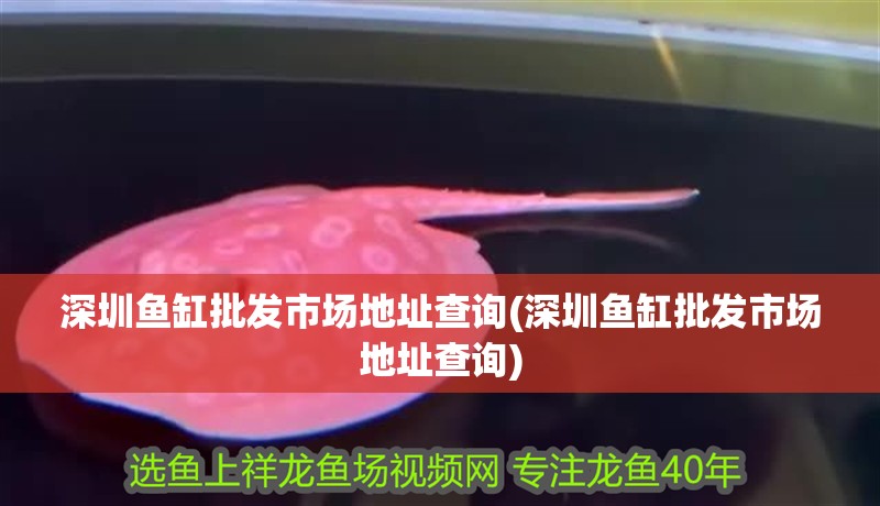 <strong><mark>深圳</mark></strong>魚缸批發市場地址查詢(<strong><mark>深圳</mark></strong>魚缸批發市場地址查詢)
