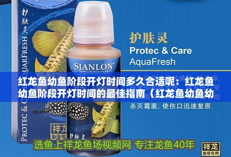 紅龍魚幼魚階段開燈時(shí)間多久合適呢：紅龍魚幼魚階段開燈時(shí)間的最佳指南（紅龍魚幼魚幼魚階段開燈時(shí)間指南：紅龍魚幼魚階段開燈時(shí)間）