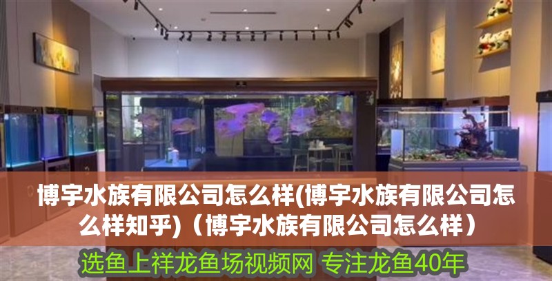 鸚鵡魚和銀龍魚混養怎樣喂食 博宇水族有限公司怎么樣(博宇水族有限公司怎么樣知乎)(博宇水族有限公司怎么樣) 觀賞魚百科 博宇水族有限公司怎么樣(博宇水族有限公司怎么樣知乎)(博宇水族有限公司怎么樣) 博宇水族有限公司怎么樣(博宇水族有限公司怎么樣知乎)(博宇水族有限公司怎么樣) 觀賞魚百科
