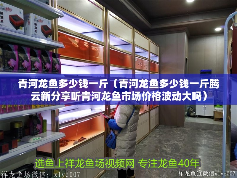<strong><mark>青河</mark></strong>龍魚多少錢一斤（<strong><mark>青河</mark></strong>龍魚多少錢一斤騰云新分享聽<strong><mark>青河</mark></strong>龍魚市場價格波動大嗎）