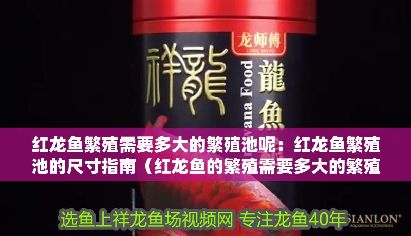 紅龍魚繁殖需要多大的繁殖池呢：紅龍魚繁殖池的尺寸指南（紅龍魚的繁殖需要多大的繁殖池）