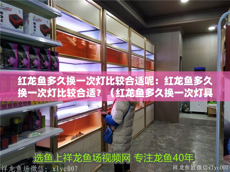 紅龍魚多久換一次燈比較合適呢：紅龍魚多久換一次燈比較合適？（紅龍魚多久換一次燈具）