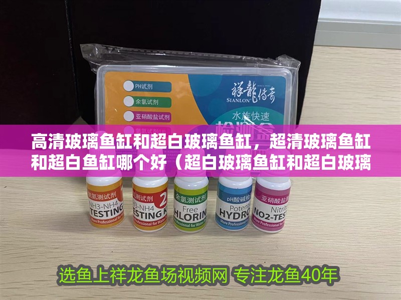 鸚鵡魚和銀龍魚混養(yǎng)怎樣喂食 高清玻璃魚缸和超白玻璃魚缸,超清玻璃魚缸和超白魚缸哪個好(超白玻璃魚缸和超白玻璃魚缸和超白玻璃魚缸的區(qū)別) 觀賞魚百科 高清玻璃魚缸和超白玻璃魚缸,超清玻璃魚缸和超白魚缸哪個好(超白玻璃魚缸和超白玻璃魚缸和超白玻璃魚缸的區(qū)別) 高清玻璃魚缸和超白玻璃魚缸,超清玻璃魚缸和超白魚缸哪個好(超白玻璃魚缸和超白玻璃魚缸和超白玻璃魚缸的區(qū)別) 觀賞魚百科