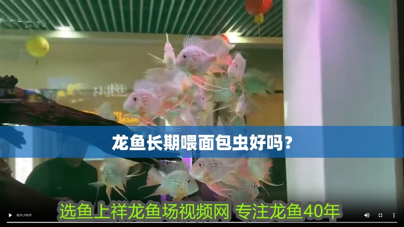 龍魚長期喂面包蟲好嗎？ 龍魚長期喂面包蟲好嗎？ 觀賞魚百科
