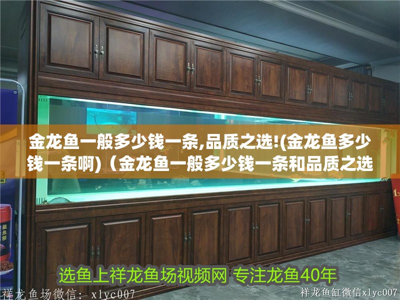 我的虎魚真菌感染了要怎么處理 金龍魚一般多少錢一條,品質之選!(金龍魚多少錢一條啊)(金龍魚一般多少錢一條和品質之選金龍魚一般多少錢一條) 觀賞魚百科 金龍魚一般多少錢一條,品質之選!(金龍魚多少錢一條啊)(金龍魚一般多少錢一條和品質之選金龍魚一般多少錢一條) 金龍魚一般多少錢一條,品質之選!(金龍魚多少錢一條啊)(金龍魚一般多少錢一條和品質之選金龍魚一般多少錢一條) 觀賞魚百科