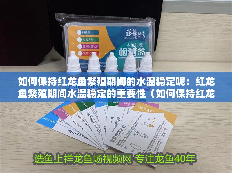 如何保持紅龍魚繁殖期間的水溫穩定呢：紅龍魚繁殖期間水溫穩定的重要性（如何保持紅龍魚繁殖期間水溫穩定）