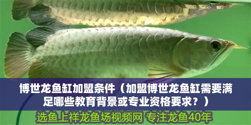 博世龍魚缸加盟條件（加盟博世龍魚缸需要滿足哪些教育背景或?qū)I(yè)資格要求？）